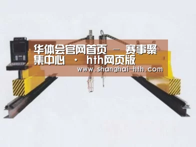 产品名称十七